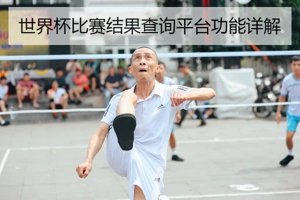 世界杯比赛结果查询平台功能详解