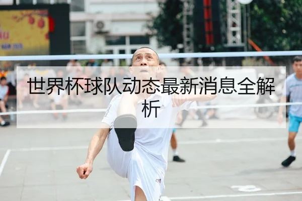 世界杯球队动态最新消息全解析