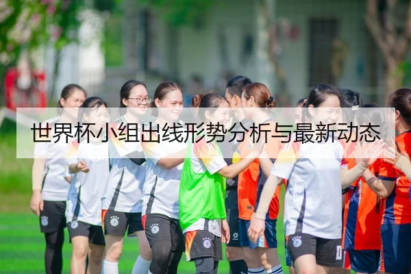 世界杯小组出线形势分析与最新动态